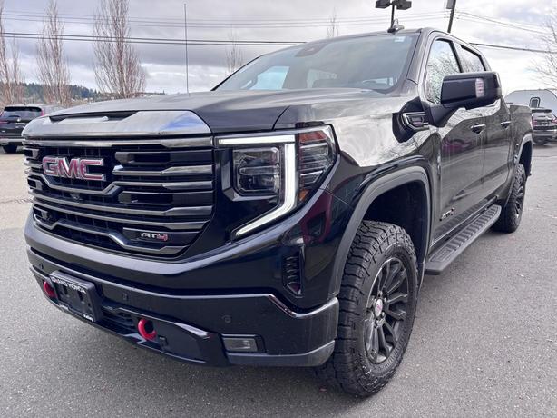 2022 GMC Sierra 1500 AT4 image 3