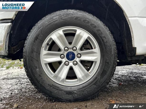 2016 Ford F-150 image 6