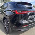 2022 Lexus NX 350h thumbnail image 5