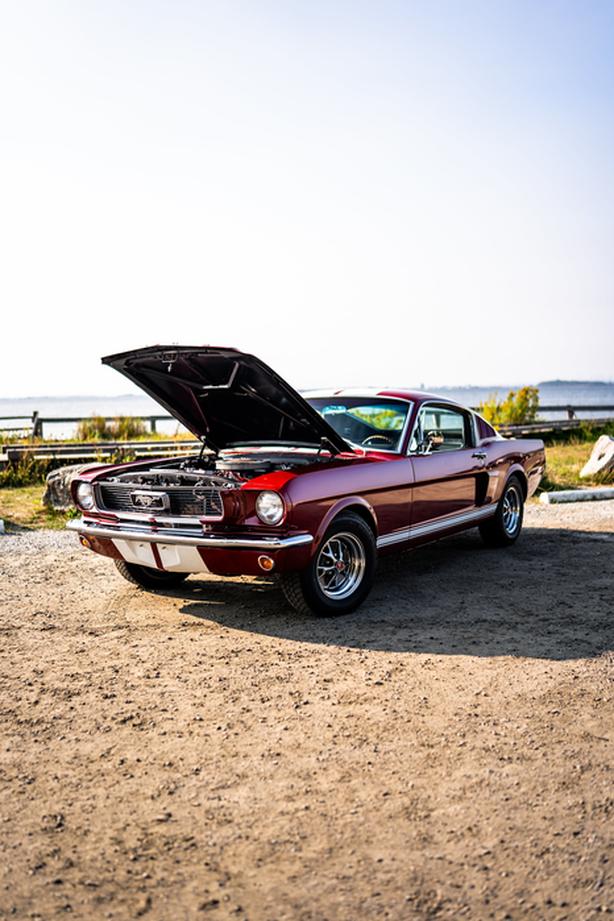 1966 Ford Mustang image 5