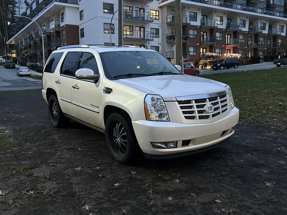 2010 Cadillac Escalade display photo