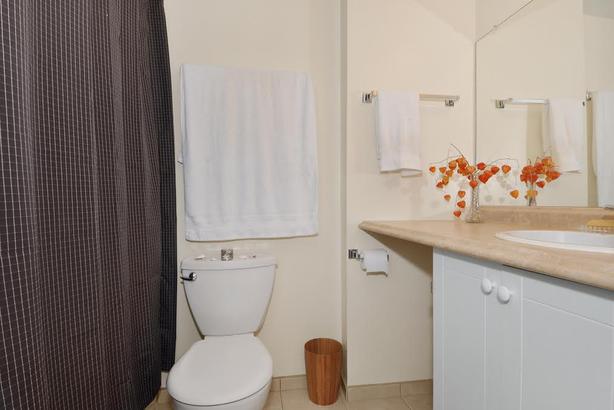 Large 1 Bedroom, 1 Block From Vibrant Denman Street! - $2300 image 6