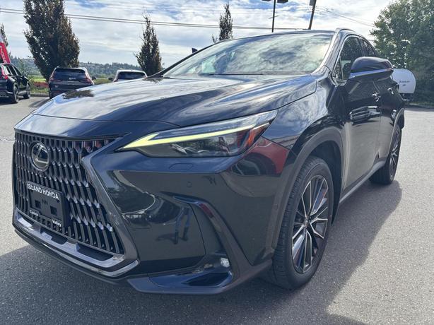 2022 Lexus NX 350h image 3