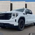 2023 GMC Sierra 1500 Elevation thumbnail image 1
