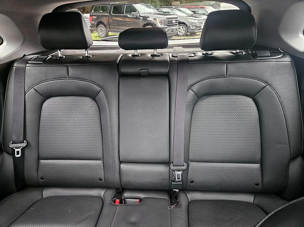 2019 Hyundai  Kona Electric Limited image 8