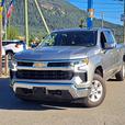 2025 Chevrolet Silverado 1500 LT1 thumbnail image 1
