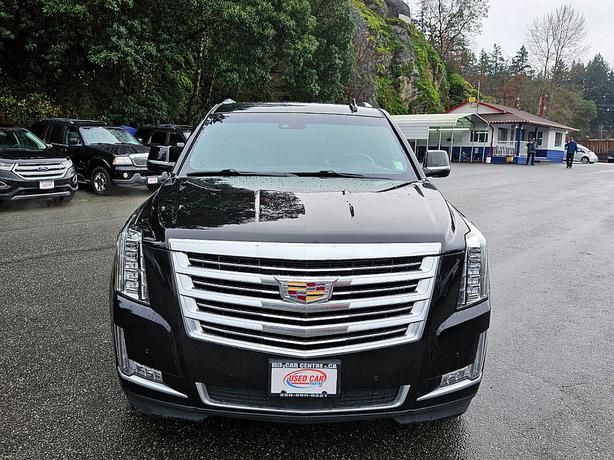 2015 Cadillac  Escalade Platinum image 3