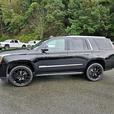 2015 Cadillac Escalade Platinum thumbnail image 5