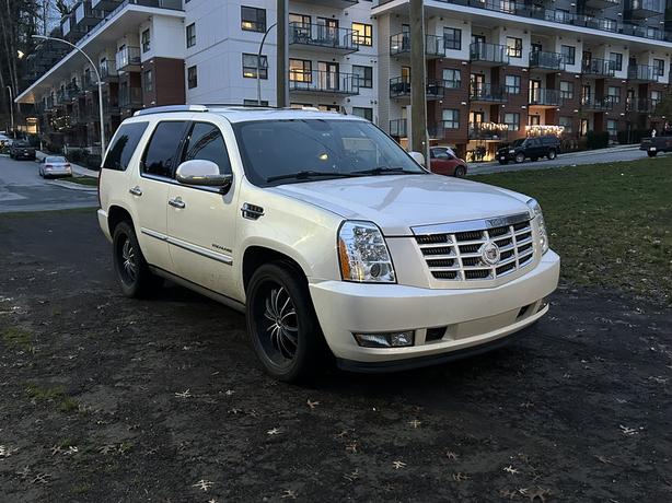 2010 Cadillac Escalade image 1