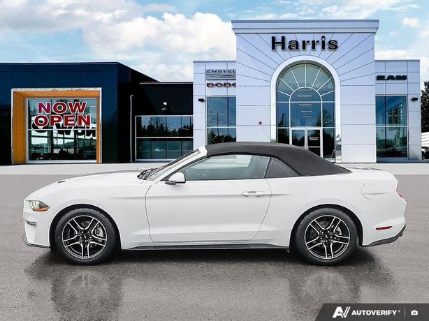 2023 Ford Mustang EcoBoost Convertible | No Reported Accidents! image 3