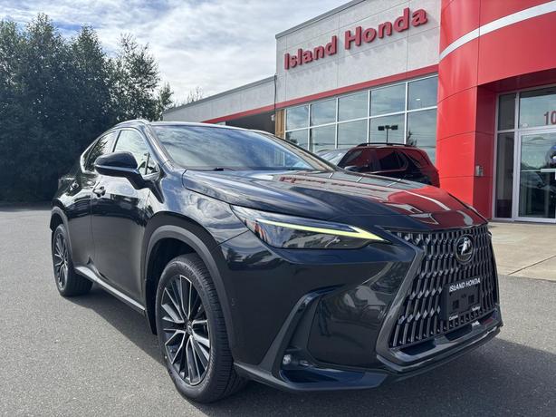 2022 Lexus NX 350h image 1