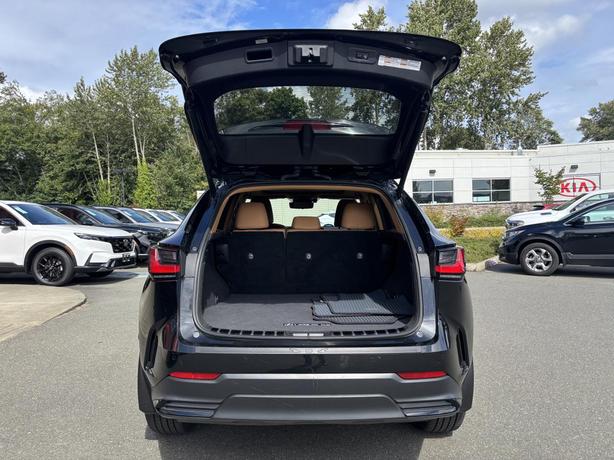 2022 Lexus NX 350h image 7