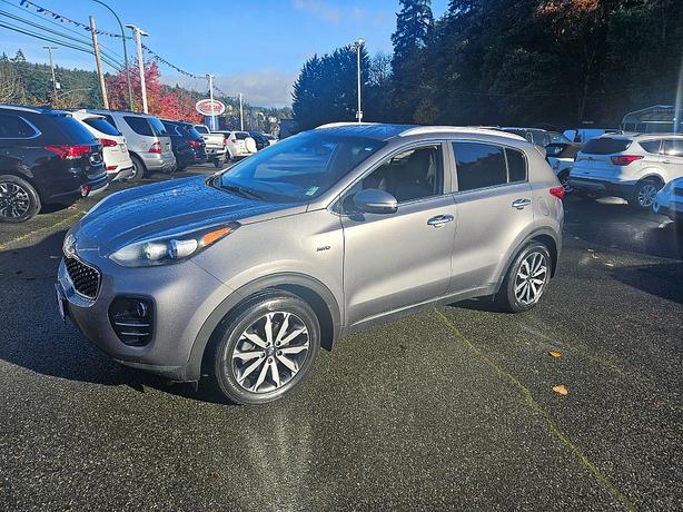 2017 KIA  Sportage EX image 3