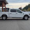 2023 Ford F-150 XLT - 5.0L V8, 4x4, Crew Cab, Short Box thumbnail image 5