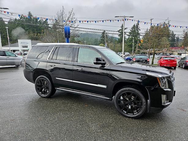 2015 Cadillac  Escalade Platinum image 2