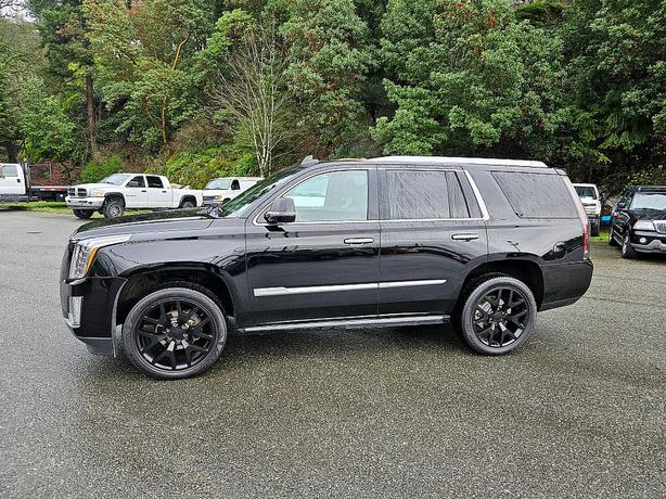 2015 Cadillac  Escalade Platinum image 5