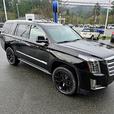 2015 Cadillac  Escalade Platinum thumbnail image