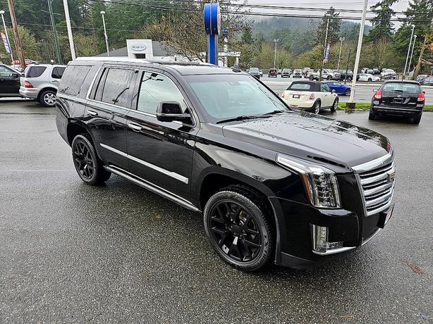2015 Cadillac  Escalade Platinum image 1