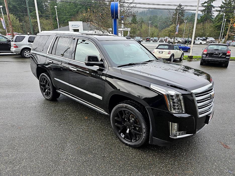 2015 Cadillac  Escalade Platinum display photo