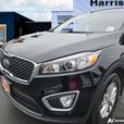 2016 Kia Sorento 2.4L LX | Low KM | Heated Seats! thumbnail image 8