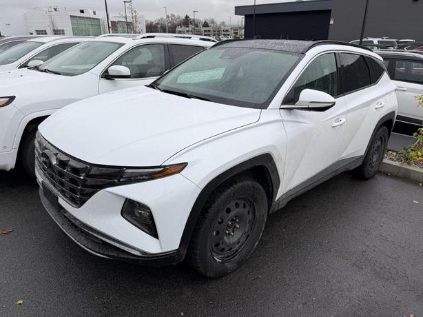 2024 Hyundai Tucson Hybrid Luxury ! LEATHER! BACKUP CAMERA! HEATED SEATS/ STEERI image 2