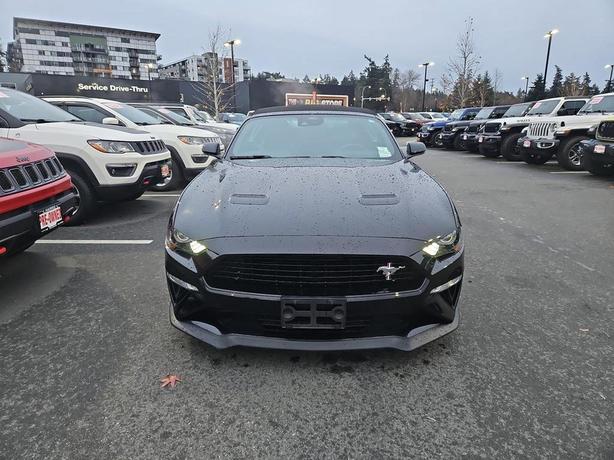 2019 Ford Mustang GT Premium | One Owner | No Reported Accidents! image 2