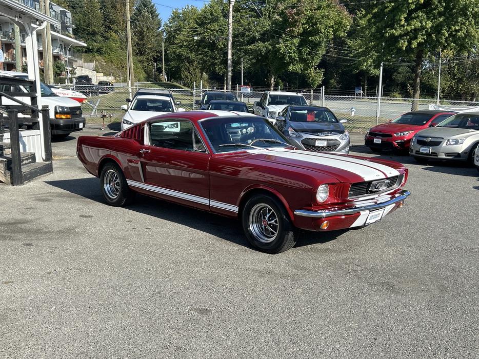 1966 Ford Mustang display photo