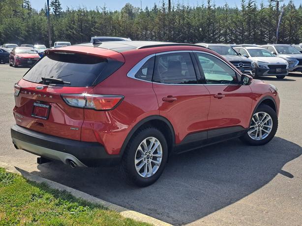 2020 Ford Escape Hybrid - Heated Seats, Heated Wheel, Moonroof image 6