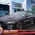 2019 Ford Mustang GT Premium | One Owner | No Reported Accidents! thumbnail image