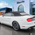 2023 Ford Mustang EcoBoost Convertible | No Reported Accidents! thumbnail image 4