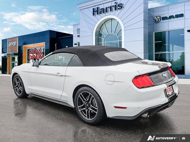 2023 Ford Mustang EcoBoost Convertible | No Reported Accidents! image 4