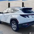 2024 Hyundai Tucson Trend SUNROOF! LEATHER INTERIOR! BACK UP CAMERA! BLUETOOTH! thumbnail image 4