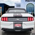 2023 Ford Mustang EcoBoost Convertible | No Reported Accidents! thumbnail image 5