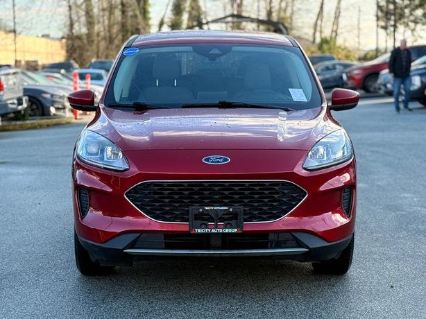2020 Ford Escape SE - Power Driver's Seat, Heated Seats, BlueTooth image 2