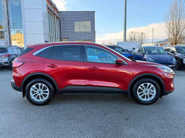 2020 Ford Escape SE - Power Driver's Seat, Heated Seats, BlueTooth image 4