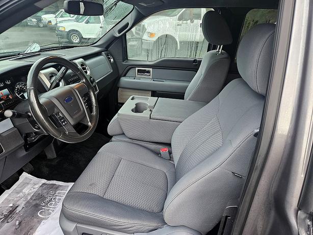 2011 Ford  F-150 XLT image 6