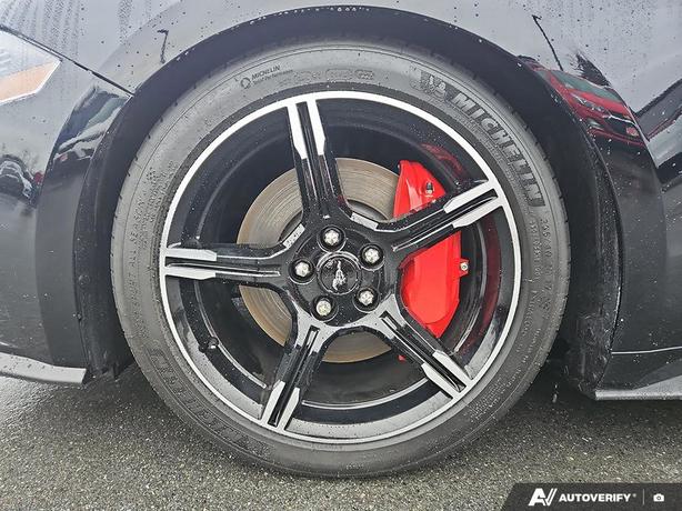 2019 Ford Mustang GT Premium | One Owner | No Reported Accidents! image 6