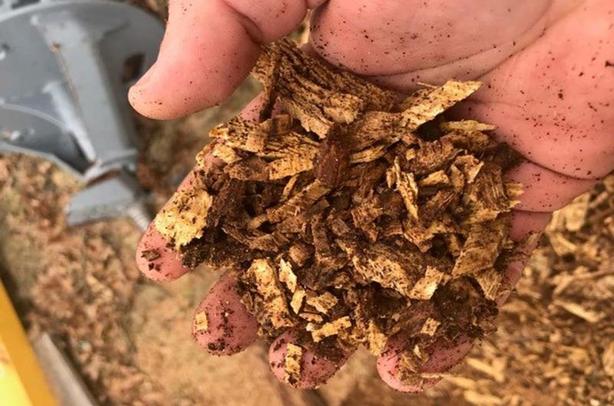 2025 Baumalight Stump Planers Skidsteer RSS380 image 2