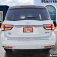 2023 Infiniti QX80 LUXE 7-Passenger | No Reported Accidents! thumbnail image 5