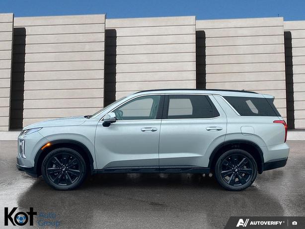 2025 Hyundai Palisade Urban demo image 3