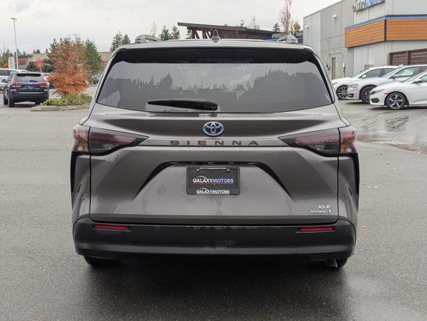 2023 Toyota Sienna XLE - No Accidents, 8 Passenger, Sunroof image 7