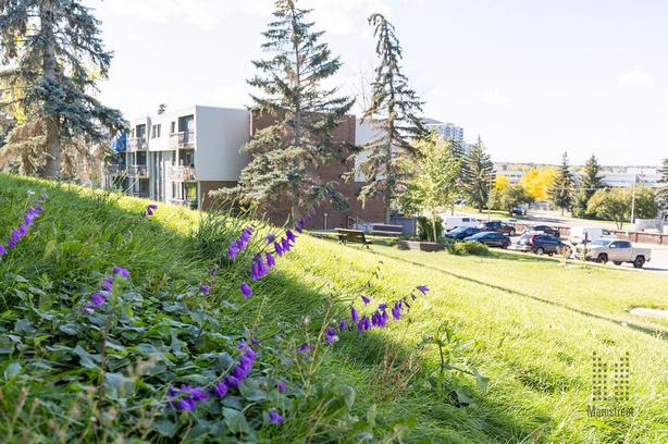 1 bedroom Bonaventure Apartments image 2