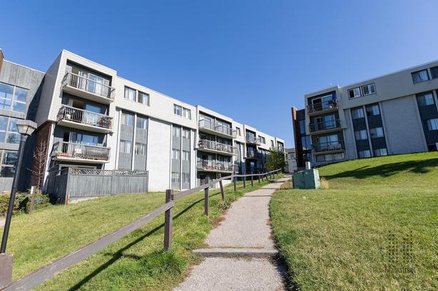 1 bedroom Bonaventure Apartments image 4