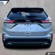 2019 Ford Edge thumbnail image 5