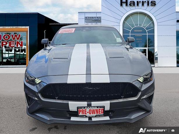 2022 Ford Mustang GT Premium Fastback | No Reported Accidents! clearance image 2