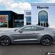 2022 Ford Mustang GT Premium Fastback | No Reported Accidents! clearance thumbnail image 3