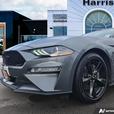 2022 Ford Mustang GT Premium Fastback | No Reported Accidents! clearance thumbnail image 8