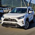 2019 Toyota RAV4 XLE AWD - One Owner, No Accidents thumbnail image 1