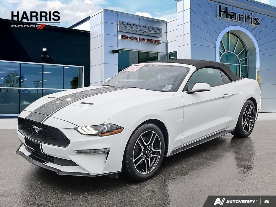2023 Ford Mustang EcoBoost Convertible | No Reported Accidents! display photo