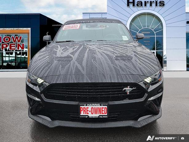 2019 Ford Mustang GT Premium | One Owner | No Reported Accidents! image 2